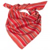 Foulard femme ville rayé rouge-gris