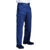 Pantalon travail poches cargo Bleu roi