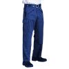 Pantalon travail poches cargo Bleu roi