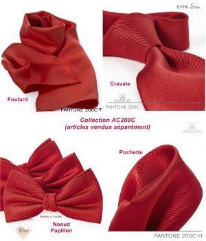 Foulard Femme 100% Soie, Rouge Groseille, Doux au toucher, 20 x 160 cm