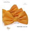 Noeud papillon, 100% Soie, Orange, Doux au toucher, Déjà noué