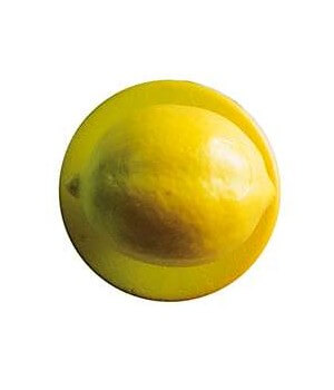 Boutons Citron, Le pack de 12 Boutons Citron, Le pack de 12