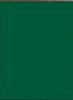 tablier serveuse vert
